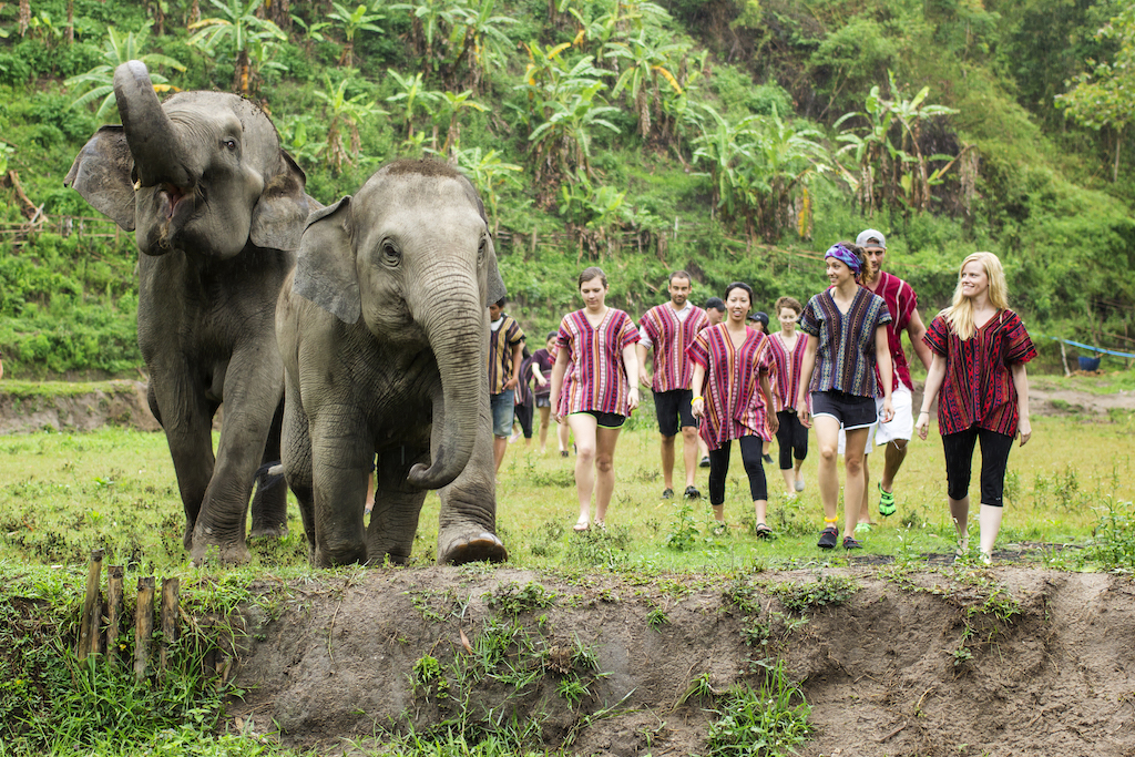 Chiang Mai Safari na słoniach i tratwy (1 dzień)