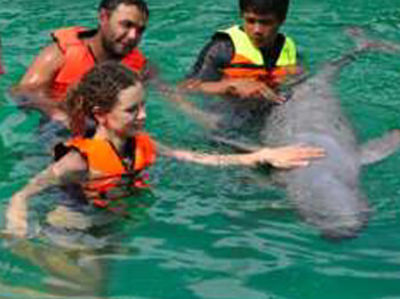 Wycieczka - pływanie z delfinami - Pattaya