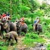 Safari na Phuket (1/2 dnia)